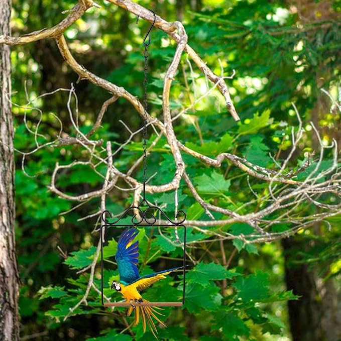 Hummingbird Swings and Perches Hummingbird Perch Humming Bird Swing - Image 7