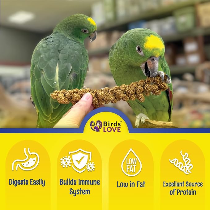 Birds LOVE Economy Special Spray Millet - Image 3