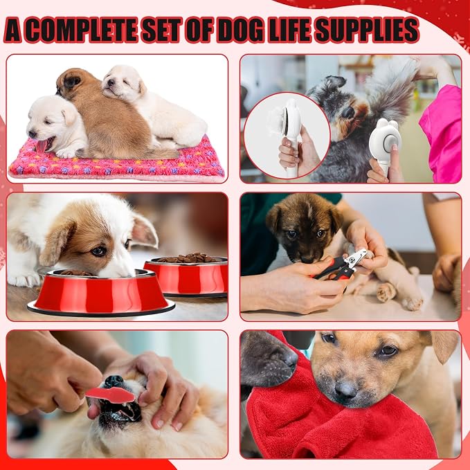 Abbylike 50 Pcs Puppy Supplies Starter Kit - Image 3