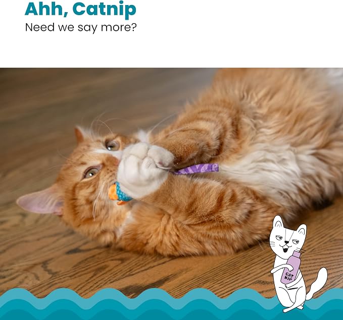 Catstages Catnip Chew Mice 2 Pack– Interactive Dental Cat Chew Toy that Helps - Image 4