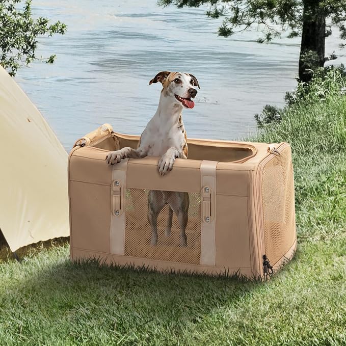 Petsfit 19x12x12 Pet Carrier for Large Cats, Soft-Sided Small Dog Travel Carrier - Image 9