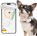 Pawfit Lite for Small Dogs 4g GPS Tracker | Real Time Tracking | Activity by Pawfit