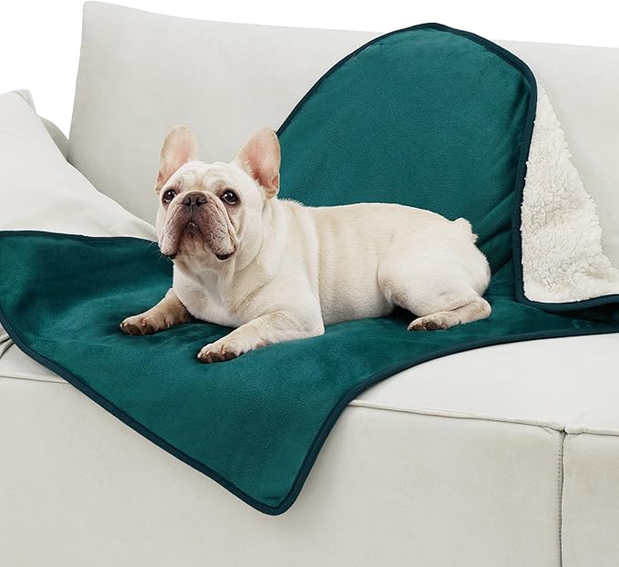 Bedsure Cat Blanket for Indoor Cats by BEDSURE