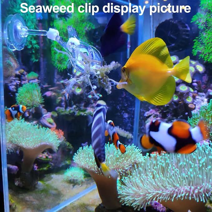 Coral Reef Grabber, Coral Feeder, Aquarium Veggie Feeder, Fish Tank Food Clip - Image 5