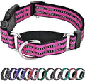 Hikiko Martingale Dog Collars Reflective Nylon Puppy Dog Collar by Hikiko