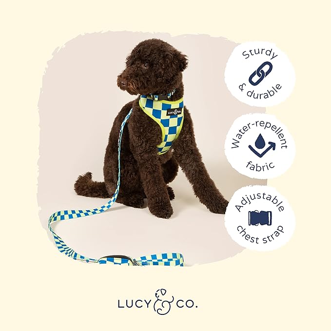 Lucy & Co. Lime Green with Blue Checker Smiley Faces, Cute Reversible Dog - Image 6