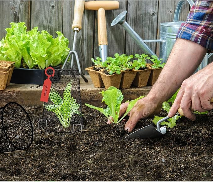 10 Pcs 6.8"×7.4" Seedling Plant Protectors from Animals, Chicken Wire Plant - Image 7