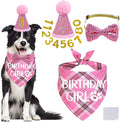 STMK Dog Birthday Outfits by STMK