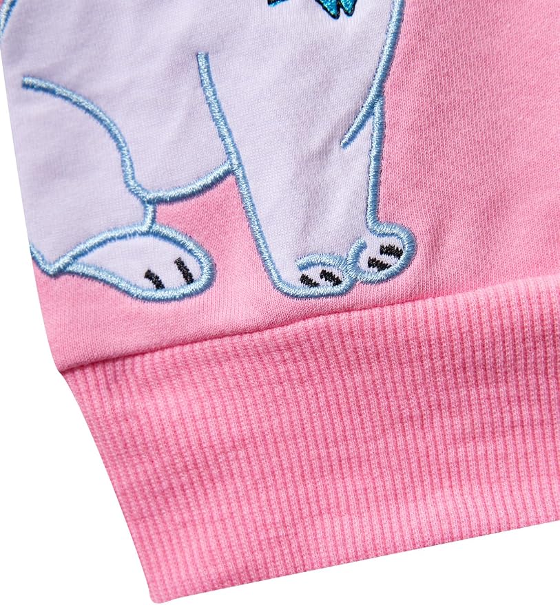 Toddler Baby Girls Cotton Sweater, Long Sleeve Crewneck Sweatshirt Pullover - Image 8
