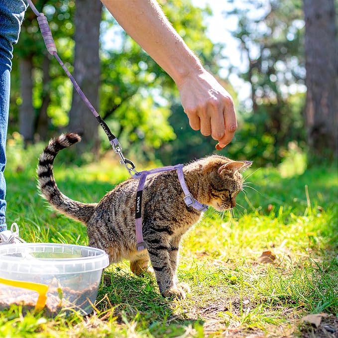 Cat Harness and Leash for Walking Escape Proof Adjustable Soft Harnesses and - Image 7