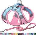 AIITLE Escape Proof Dog Harness by AIITLE-FORPETSBETTERLIFE