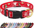 Reflective Dog Collar by TMOODEL