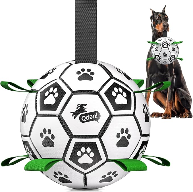 QDAN 10 Inch Gaint Dog Soccer Ball by QDAN