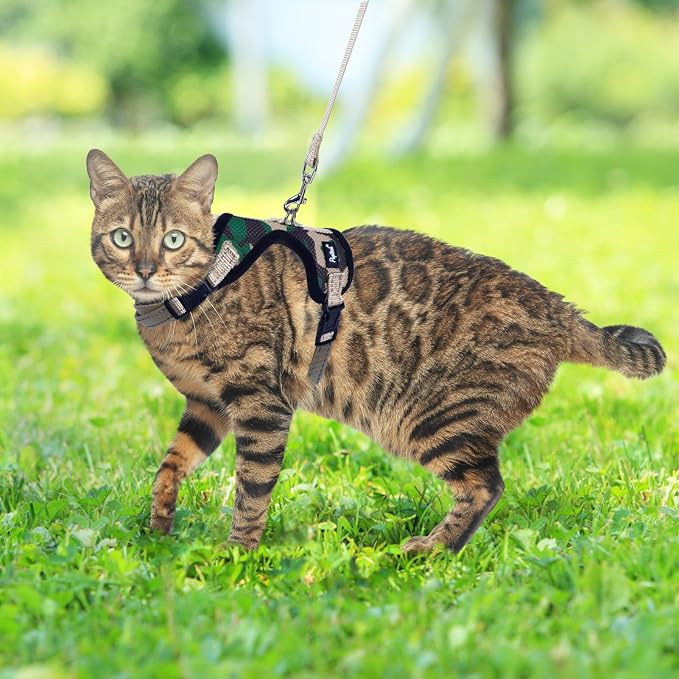 PUPTECK Cat Harness and Leash Set Escape Proof, Reflective Adjustable Soft Mesh - Image 6