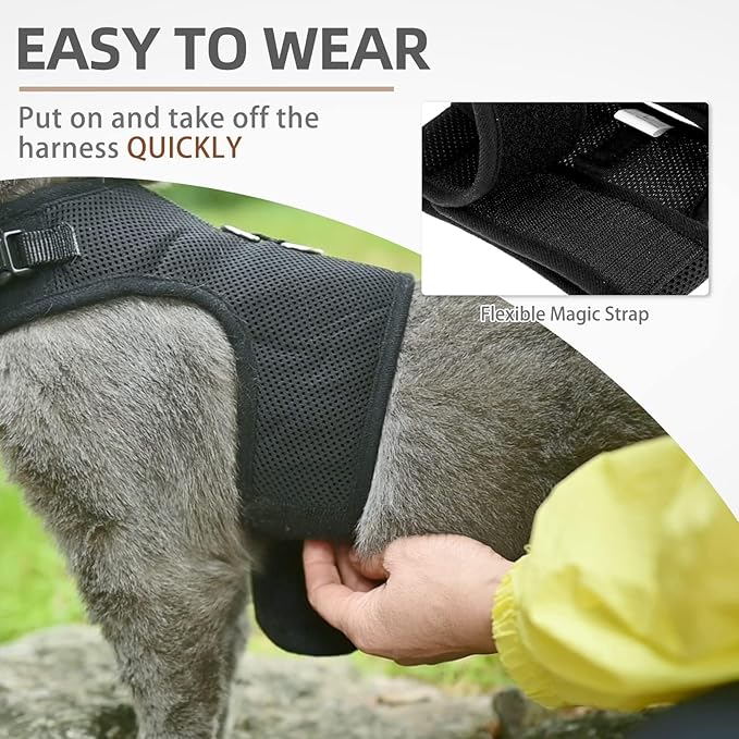 PUPTECK Soft Mesh Cat Vest Harness and Leash Set Puppy Padded Pet Harnesses - Image 5