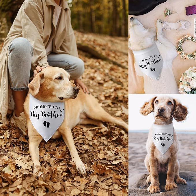 Promoted to Big Brother Pregnancy Announcement Dog Bandana Baby Announcement - Image 6
