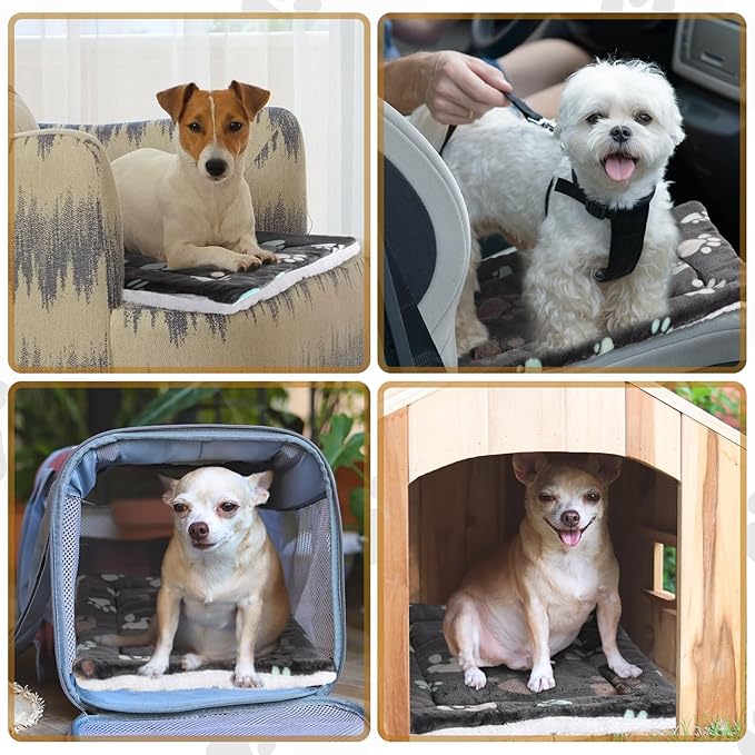 Tuanse 4 Pack Ultra Soft Dog Cat Bed Mat Small Animal Guinea Pig Bed - Image 6