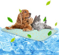 NWK Pack of 4 Pet Cooling Mat by NWK