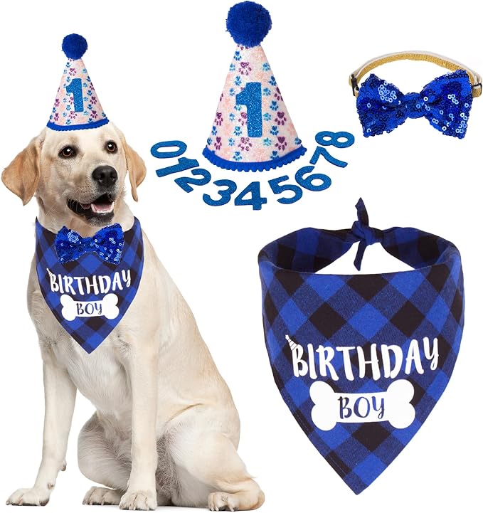 ADOGGYGO Dog Birthday Party Supplies, Pet Party Hat by ADOGGYGO