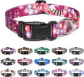 Mercano Adjustable Dog Collar by Unknown