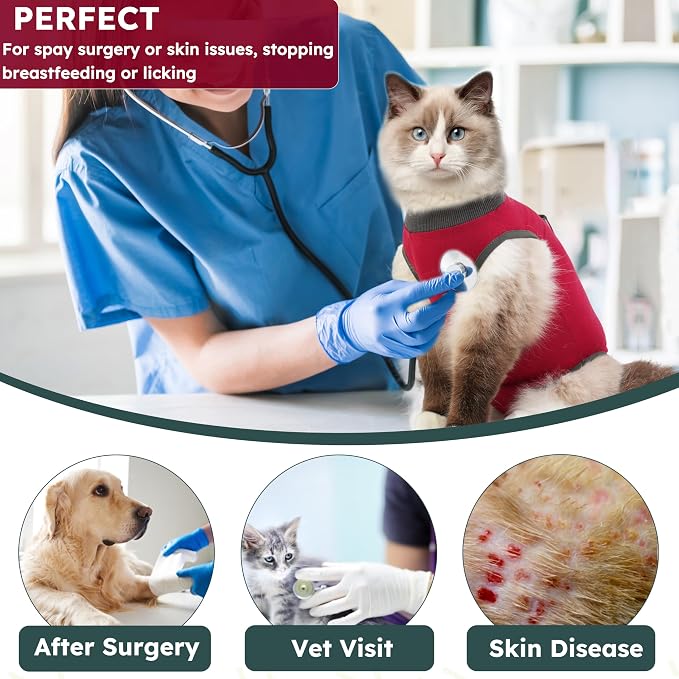 Cat Recovery Suit for Spay Abdominal Wounds, Kitten Onesie Bodysuit for Cats - Image 6