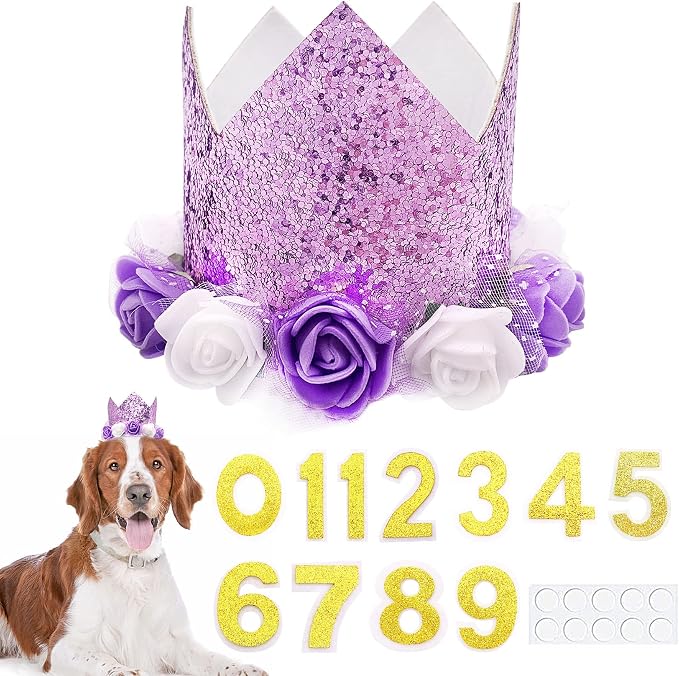 PET SHOW Purple Crown Dog Birthday Party Hat by PETSHOW