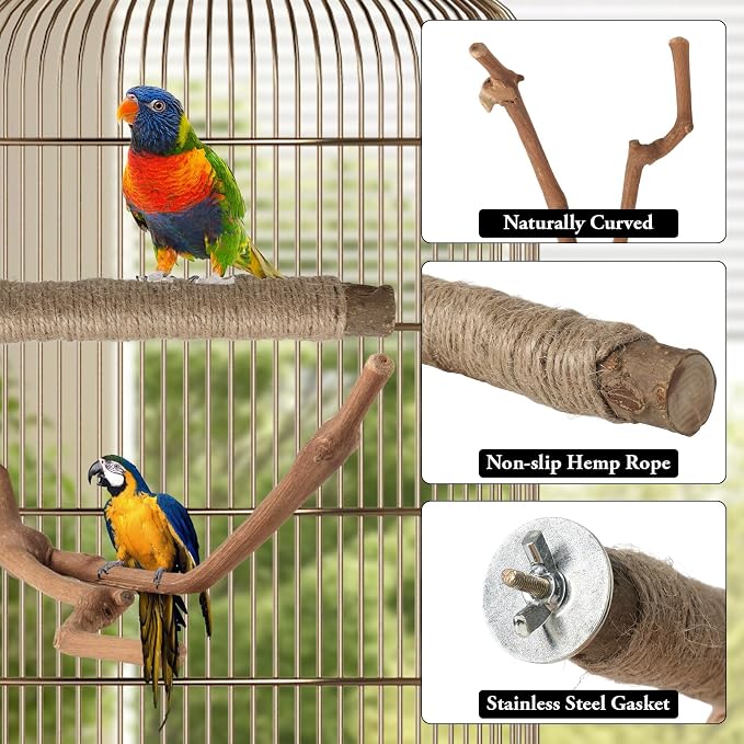 REHALY Large Bird Perch Stand, Paw Grinding Forks, Stand & Toys - Image 3