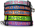 Pawtitas Personalized Teal Reflective Cat Collar – Adjustable Custom Collar by Pawtitas