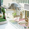 PETKARAY Cat Window Perch, Foldable Cat Hammock by PETKARAY