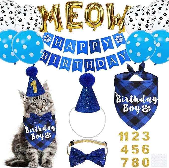 Cat Birthday Party Supplies, Cat Birthday Hat by JOTFA