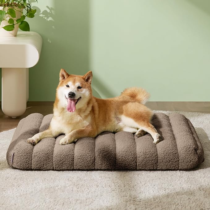 LE SURE Cute Orthopedic Dog Bed Medium Size Dog, Waterproof Chic Flat Pet Beds - Image 2