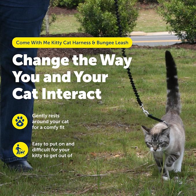 PetSafe Come With Me Kitty Harness and Bungee Leash - Image 2