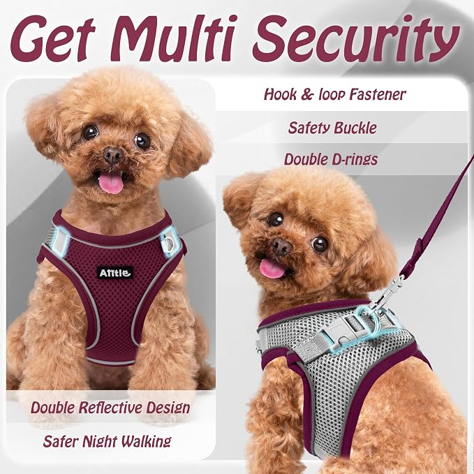 AIITLE Step in Dog Harness and Leash Set - Image 6