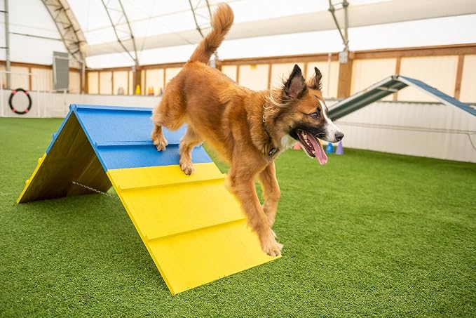 Better Sporting Dogs Agility A-Frame | Dog Agility Equipment | Dog Agility - Image 5