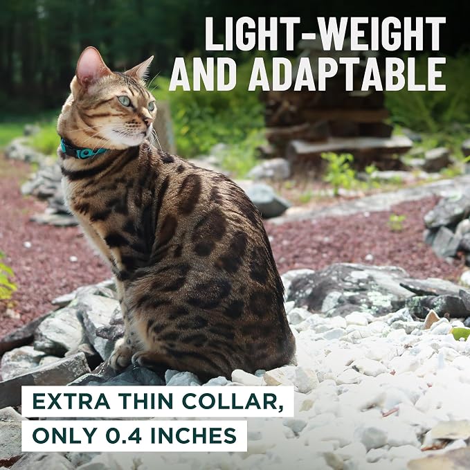 OutdoorBengal Orange Cat Collar Breakaway, Soft Padding - Image 6