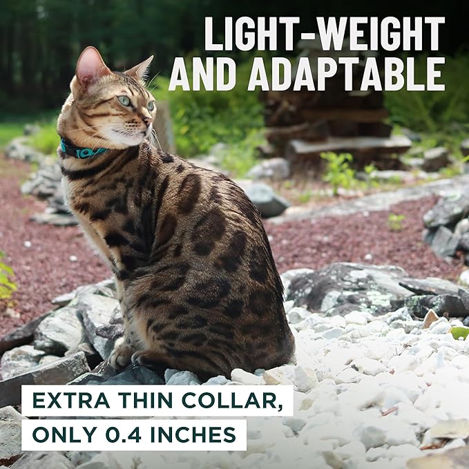 OutdoorBengal Green Cat Collar Breakaway, Soft Padding - Image 6