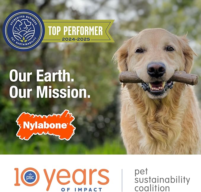 Nylabone Limited Edition 70th Birthday Textured Bone Power Chew Toy - Image 12