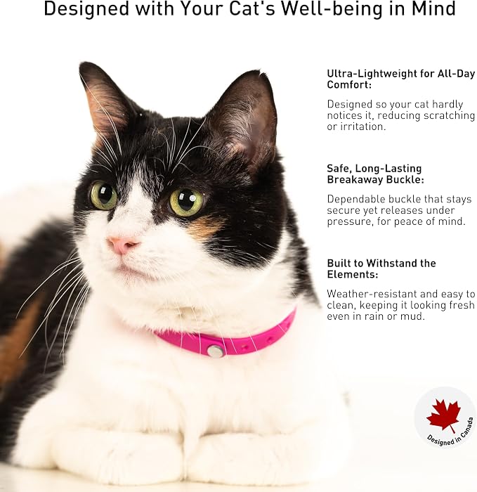 Breakaway Cat Collar - Image 4