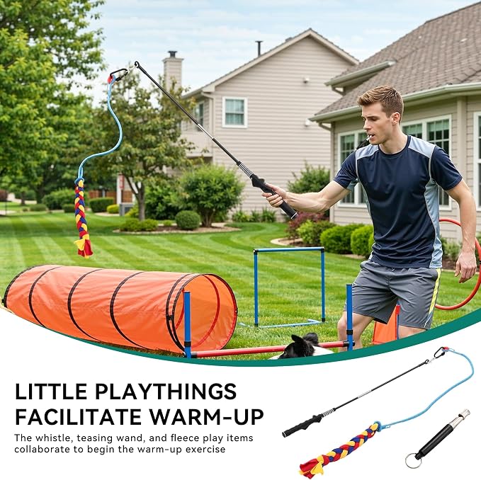 YITAHOME Dog Agility Training Equipment Set - Image 2