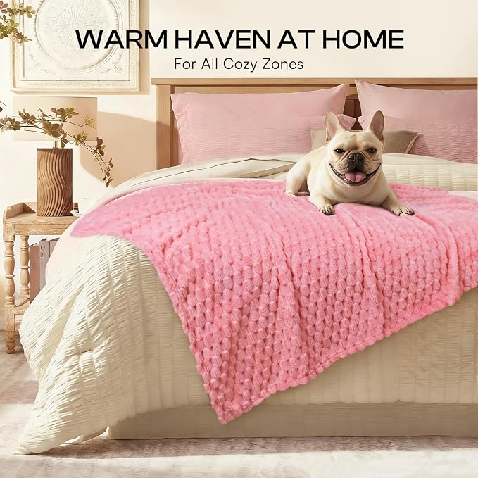 Luciphia Soft 300GSM Fleece Pet Blanket - Image 4