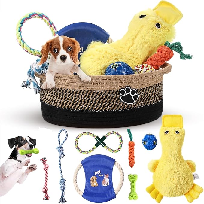 Zopeal Puppy Dog Toy Gift Storage Basket by Zopeal