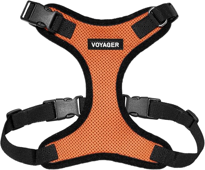 Voyager Step-in Pet Harness by BestPetSuppliesLLC