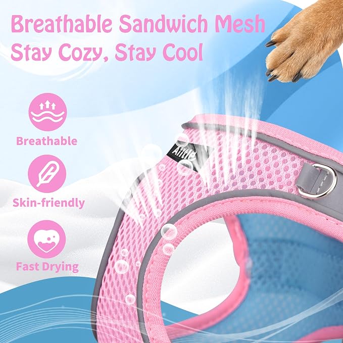 AIITLE Dog Harness, No-Pull Cat Harness - Image 6