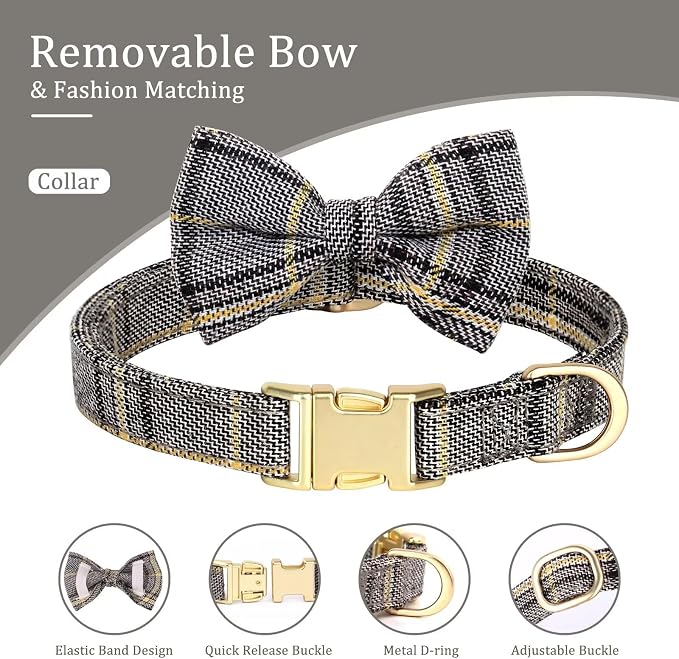 Beirui Cute Small Dog Harness Collar and Leash Set - Image 6
