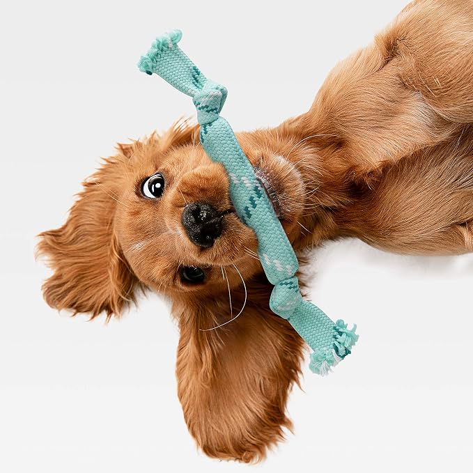 rocket & rex Dog Chew Toy Set for Small to Medium Breeds, Includes a Rope - Image 7