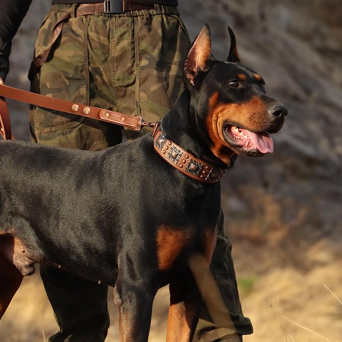 PET ARTIST Soft Padded Leather Dog Collar, 2 inch Wide Genuine Leather Dog - Image 2