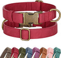 Didog Soft PU Leather Dog Collar, Stylish Quick Released Dog Collar by Didog