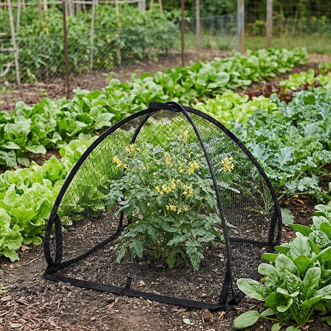 DECOHS 2 Pcs Pop-Up Mesh Plant Cover Tent, Plant Protector Enclosure - Image 6