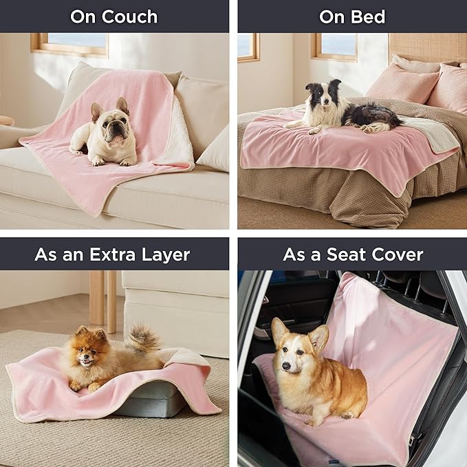 Bedsure Cat Blanket for Indoor Cats - Image 5