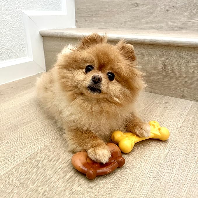 Nylabone Power Chew Toy Bundle, Cute Dog Toys - Image 2